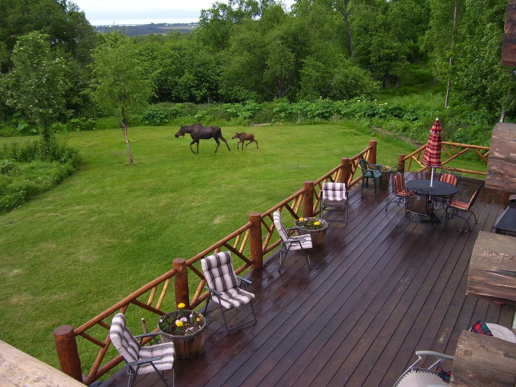 Juneberry Lodge Гомер Екстер'єр фото