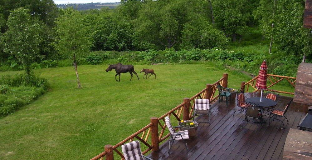 Juneberry Lodge Гомер Екстер'єр фото
