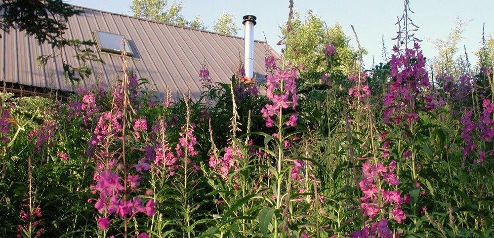 Juneberry Lodge Гомер Екстер'єр фото