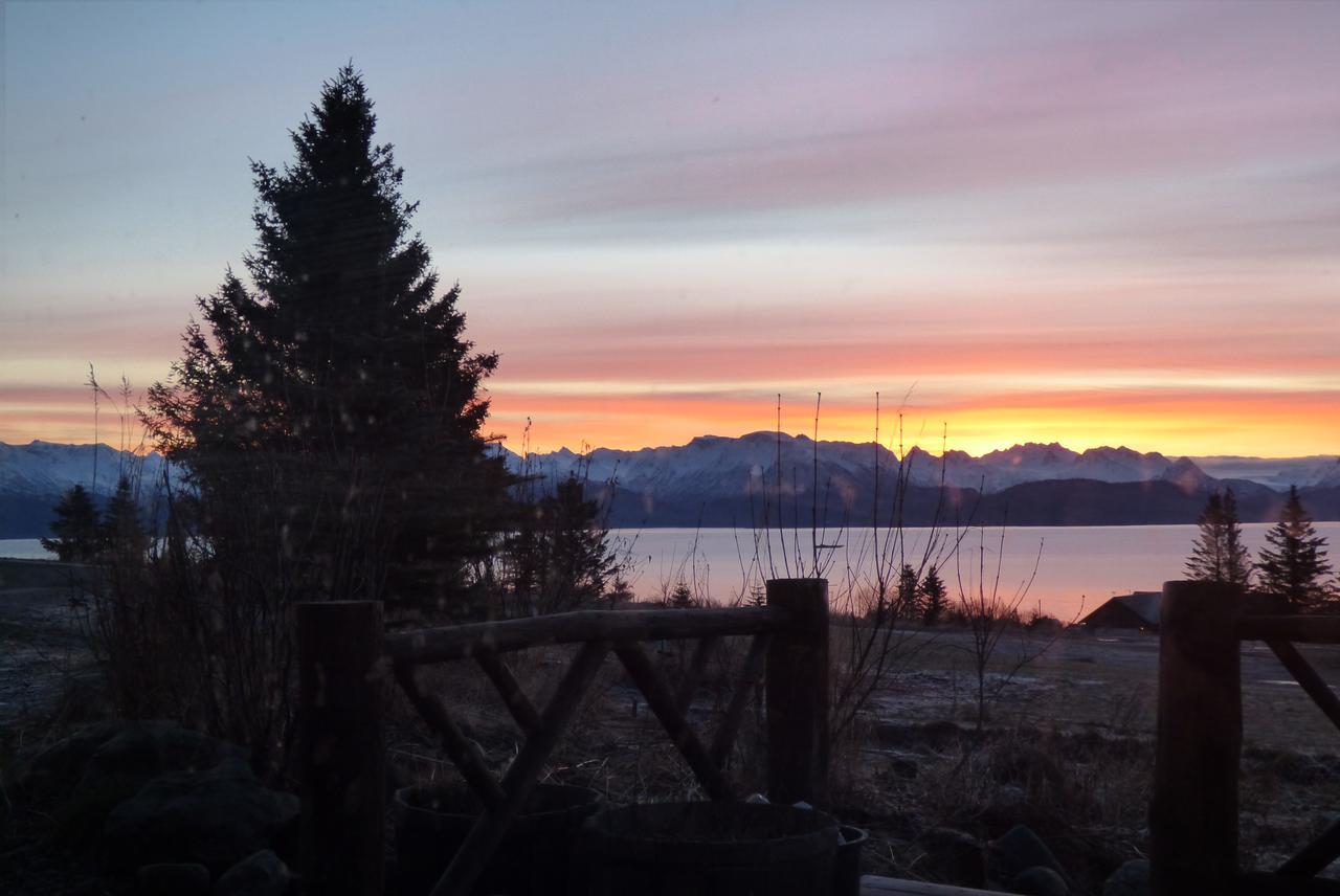 Juneberry Lodge Гомер Екстер'єр фото
